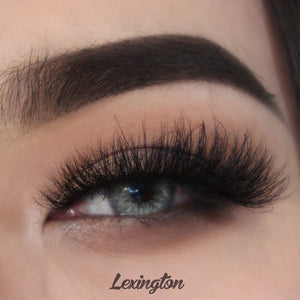 Lexington Lashes